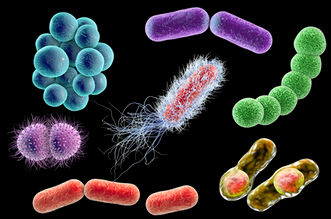 檢測細菌微生物的儀器都有哪些？