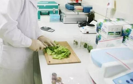 食品重金屬檢測(cè)儀，關(guān)注食品安全，防范重金屬危害